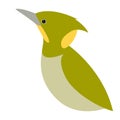 Woodpecker bird vector illustration flat style