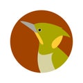 Woodpecker head vector illustration flat style profile