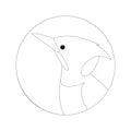 Woodpecker head vector illustration lining draw profile