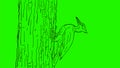 Woodpecker Pecking Drawing 2D Animation