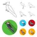 Woodpecker, stork and others. Birds set collection icons in outline,flat style vector symbol stock illustration web.