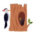 Woodpecker on Tree Trunk and Cute Little Birds in Tree Hollow as Forest Habitant Vector Illustration