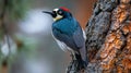 Woodpecker on Tree Trunk Represents Persistence in Forest Setting Surrounded by Greenery During Daytime Royalty Free Stock Photo