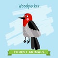 Woodpecker Vector, forest animals.