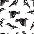 Woodpecker. Vector pattern
