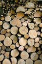 Woodpile