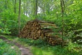 Woodpile