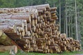Woodpile Royalty Free Stock Photo