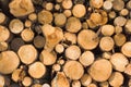 Woodpile Royalty Free Stock Photo