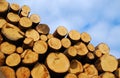 Woodpile