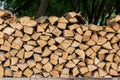 Woodpile from chopped birch firewood with bark and knots lies on green dark background Royalty Free Stock Photo