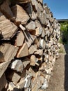 Woodpile of chopped birch firewood. Royalty Free Stock Photo