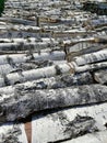 Woodpile of chopped birch firewood. Royalty Free Stock Photo