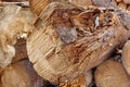 Woodpile of cut Lumber Royalty Free Stock Photo