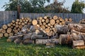 Woodpile of cut Lumber logs Royalty Free Stock Photo