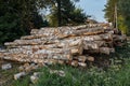 Woodpile of cut Lumber logs Royalty Free Stock Photo