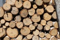 Woodpile round birch firewood