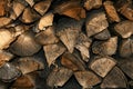 Woodpile of firewood. Harvesting and storage of fire woods for the winter. Background