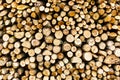Woodpile of firewood. Wood texture. Firewood stacked in one background Royalty Free Stock Photo