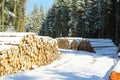 Woodpile in the winter forest with snow