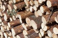 Woodpile of freshly harvested spruce logs with selective focus Royalty Free Stock Photo