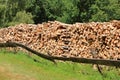 Woodpile of freshly harvested spruce logs. Trunks of trees cut and stacked in the forest. Wooden Logs Royalty Free Stock Photo