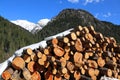woodpile with large logs cut by loggers in the mountains Royalty Free Stock Photo