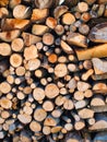 Woodpile lies in a heap, chopped for burning in a furnace. Finely chopped and stacked firewood, background. Laid dry Royalty Free Stock Photo