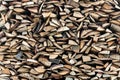 Woodpile lies in a heap, chopped for burning in a furnace. Finely chopped and stacked firewood, background. Laid dry Royalty Free Stock Photo