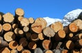 woodpile of logs cut by loggers in the mountains Royalty Free Stock Photo