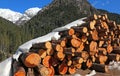 Woodpile of logs cut by loggers in the mountains in winter Royalty Free Stock Photo
