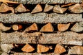 Woodpile with logs of the tree trunks Royalty Free Stock Photo