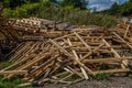 Woodpile on the meadow