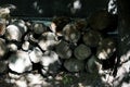 Woodpile of old firewood, old grey round wood cut background or woodpile texture Royalty Free Stock Photo