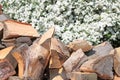 Woodpile Royalty Free Stock Photo