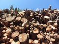 Woodpile of round logs against the blue sky . Firewood pile stacked . Chopped wood trunks Royalty Free Stock Photo