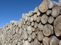 Woodpile of round logs against the blue sky . Firewood pile stacked . Chopped wood trunks Royalty Free Stock Photo