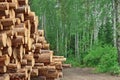 Woodpile From Sawn Pine And Spruce Logs For Forestry Industry