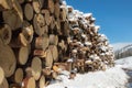 Woodpile with Snow: Cross Section of Tree Trunks Background