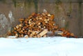 Woodpile on the snow