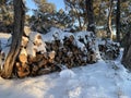 Woodpile in Snow in Winter Under Blue Sky