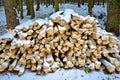 Stack of wood billets in snowy forest winter scene Royalty Free Stock Photo