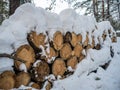 Woodpile stacked of firewood under the snow, Novosibirsk, Russia