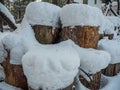 Woodpile stacked of firewood under the snow, Novosibirsk, Russia