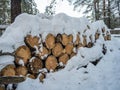 Woodpile stacked of firewood under the snow, Novosibirsk, Russia