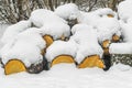 Stack of cut wood under the snow,woodpile stacked of firewood under the snow Royalty Free Stock Photo
