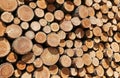 Woodpile_texture