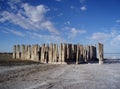 Woodpost remains of building with salt crystals Royalty Free Stock Photo