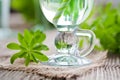 Woodruff bowle Royalty Free Stock Photo