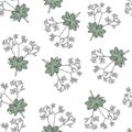 Woodruff galium odoratum with flowers seamless pattern isolated on white background. Vector illustration